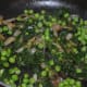 Step four: Spinach should be cooked in 4-5 minutes. Add a few drops of water, if needed. Turn off the fire. Set aside for cooling the contents a bit.