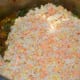 Add the soaked rice-lentil mix and stir-cook for 2–≠3 minutes.