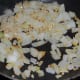 Add your olive oil to your pan on medium heat and allow it to heat up. Add the onion and let it cook for a couple of minutes then add the garlic. Stir occasionally to prevent too much browning, especially of the garlic.