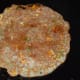 Flip it when the bottom becomes golden brown. Add a few drops of oil or ghee on the top. There is no need to cover the pan this time.