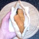 Fish fingers are added to pitta pocket