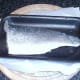 Fresh sea bass fillet