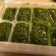 pesto-sauce-homemade