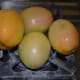 green tomatoes
