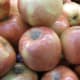 Apples