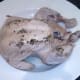 Poached chicken