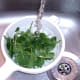 Washing salad leaves