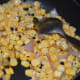 Step six: Add remaining corn. Throw in some peppercorns. Add salt to taste.
