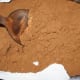 shovel cocoa powder from can with spoon—about 1 cup.