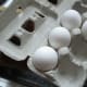 4 eggs
