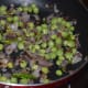 Add fresh or frozen peas. Add some salt. Stir-cook for 2-3 minutes.