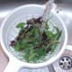 Washing mixed leaf salad