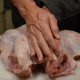 Flip the bird breast-side up. Using the palms of both hands, press down firmly to break the breastbone.