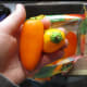 colored peppers