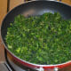 how-to-make-green-coriander-chutney-powder-dry-chutney