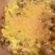 Add half and half. Stir well. Bread cubes should be submerged in half and half. Top with reserved parmesan cheese.