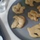 transfer to greased baking dish