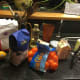 Ingredients for Mandarin Orange Frozen Yogurt