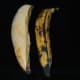 Ripe nendra banana. I used one banana for caramelizing. I served it for two children.