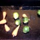 Sprouts and carrots added to hot roast chicken juices