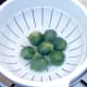 Drained sprouts are left to cool