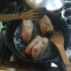 beef-wrapped-and-roasted-in-a-herb-infused-salt-crust-dough-recipe