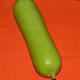 Bottle gourd.