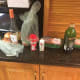 Ingredients.