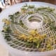 making-your-own-dried-parsley-at-home