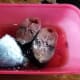 Yellow Fin Tuna