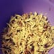 The perfect shredded chicken