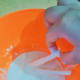Step 2: Coat chips in wet mixture