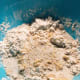 Add the yeast mixture.