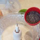 This is a good time to add your chia seeds.