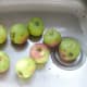 Bramley cooking apples
