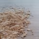 rolled oats