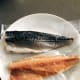 Mackerel fish.