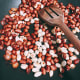 Fry the peanuts until lightly brown.