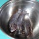 Fresh tilapia.