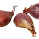 Shallots