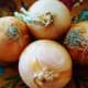 Onions