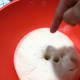 Poke the dough with your finger to let the air out.