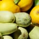 Squash.