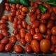 I used grape tomatoes.