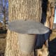 A lid helps keep rain water and debris out of the sap.