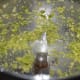 The ginger-garlic-green chili paste will look like this.
