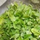 Pluck fresh leaves from stems, wash to remove dirt, and set aside.