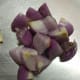 Roughly chop the onions and peel the skins off the garlic. Set aside.
