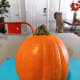 Bright orange small-sized pumpkin. This type of pumpkin would be suitable for making a pumpkin pie, as well.