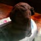 The mold is necessarily flatter than a sheep's face would be, requiring some creative adjustments during decorating, so as to suggest depth and interest.